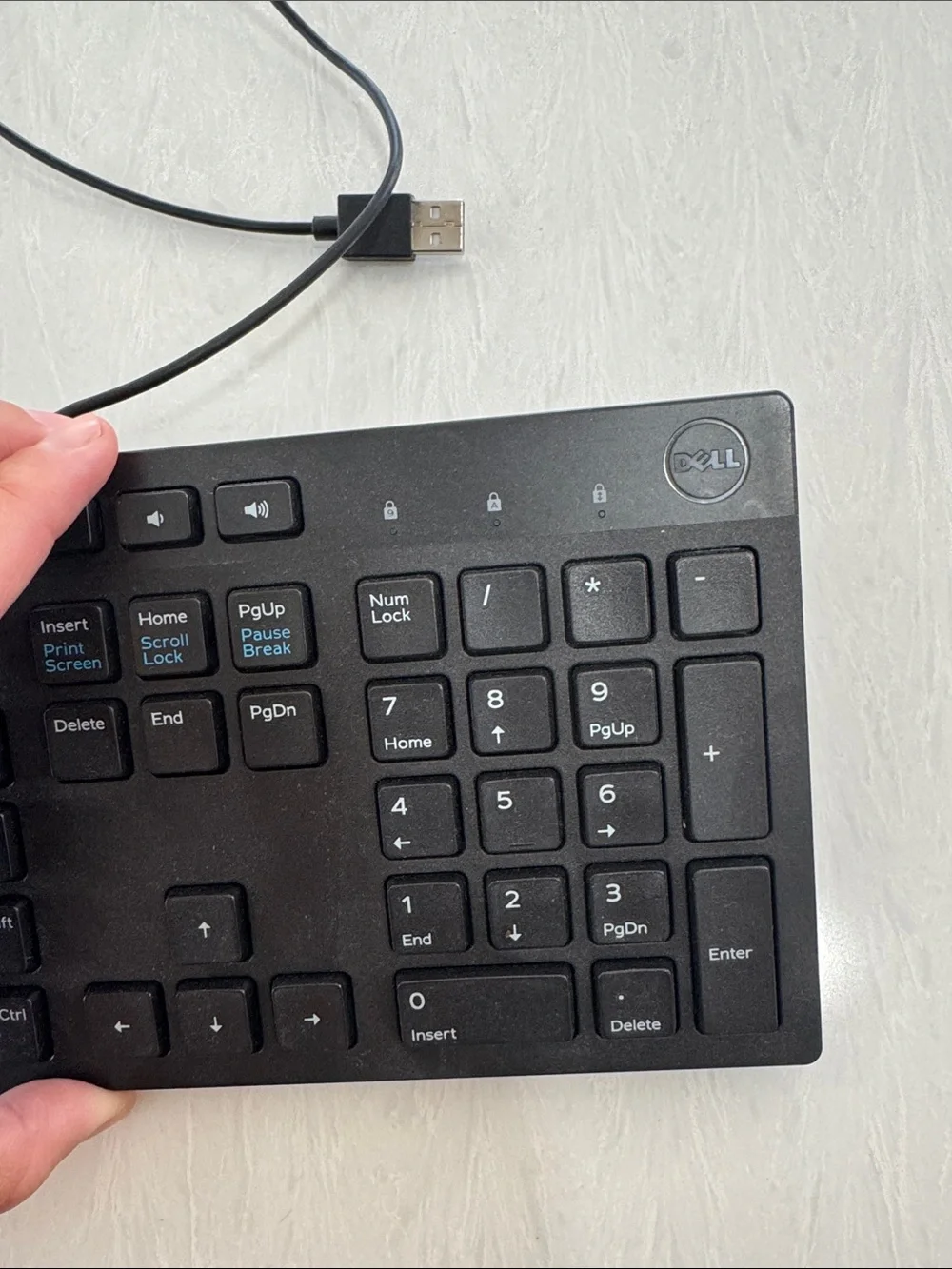 Dell Wired Keyboard - Black KB216 Wired Black USB Keyboard